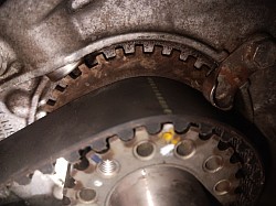 2005 lexus es330 timing belt replacement 02/2024
